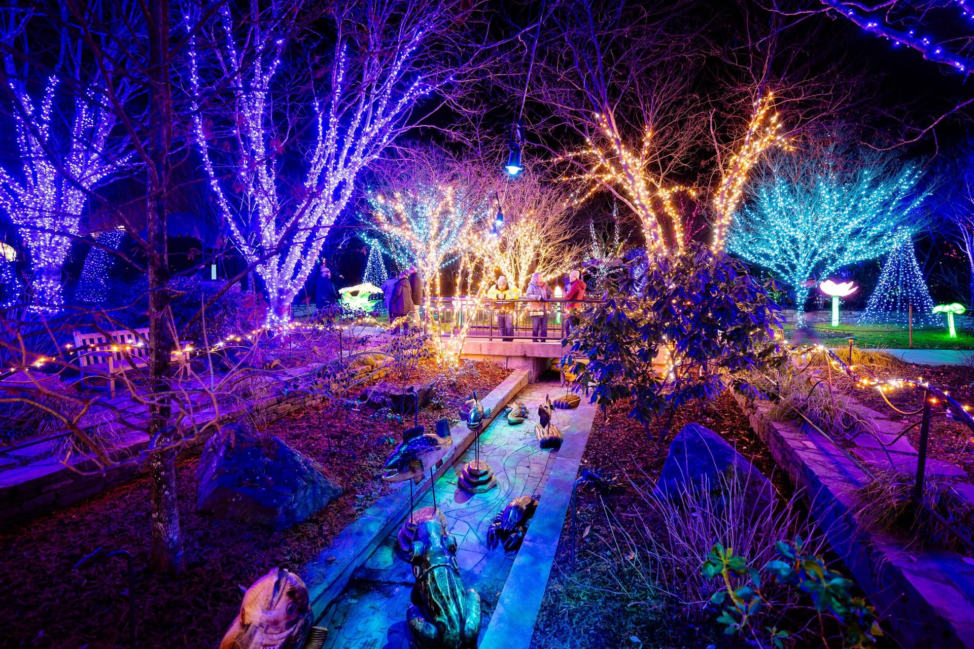 Winter Lights at NC Arboretum | Photo: Tommy Penick